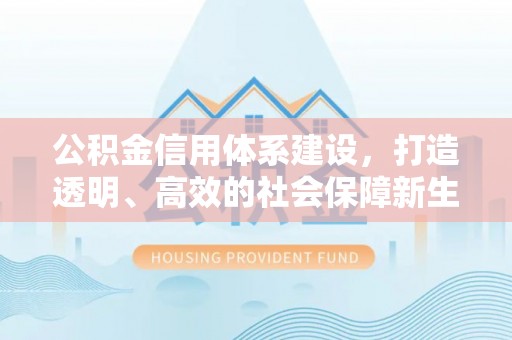 洪山公积金信用体系建设，打造透明、高效的社会保障新生态