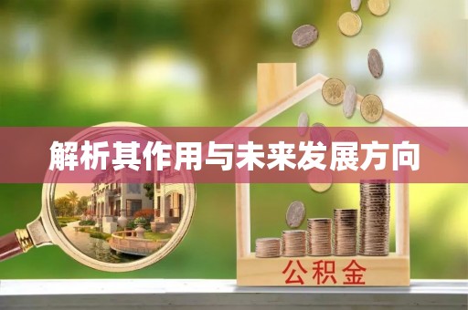 洪山解析其作用与未来发展方向