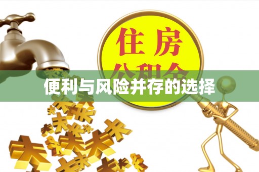 洪山便利与风险并存的选择
