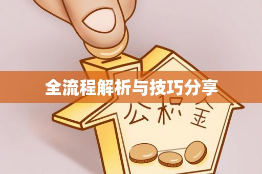 洪山全流程解析与技巧分享